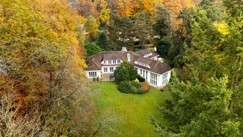 Avril – Avenue du Gui